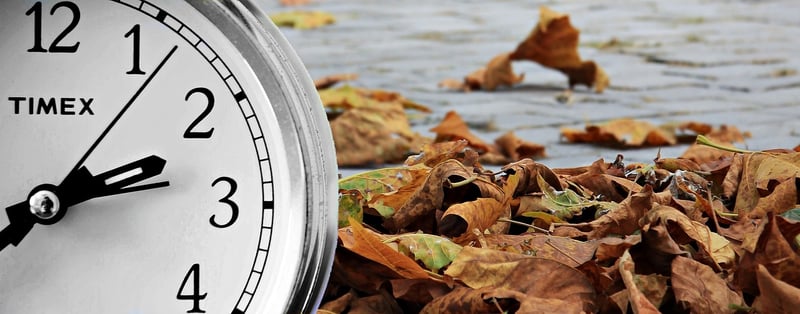 Seasonal Changes